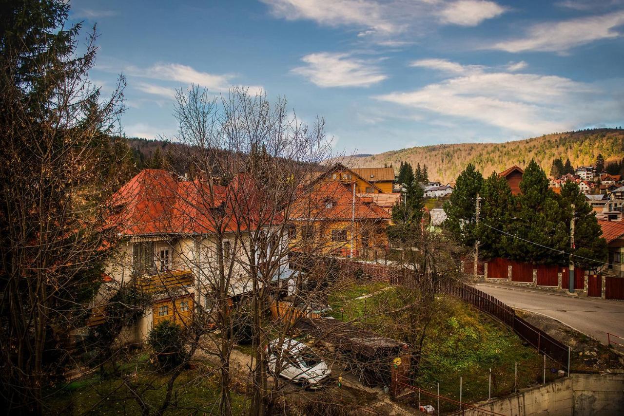 Casa Maia Hotel Busteni Luaran gambar