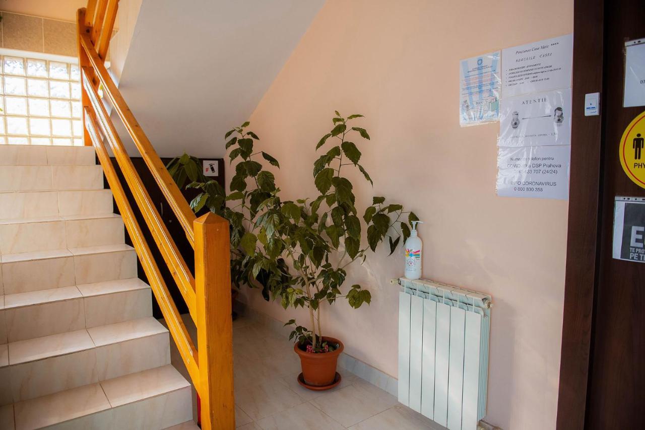 Casa Maia Hotel Busteni Luaran gambar